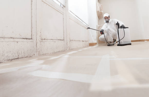 24/7 Emergency Mold Remediation experts in Norwood, MA